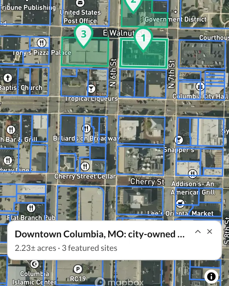 A Land Owl shared map open in a browser with no account: satellite imagery of downtown Columbia, Missouri, with City of Columbia–owned parcels featured and a panel of parcel details.